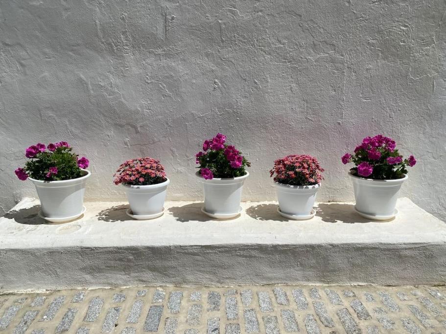 Casa Galeria La Retinta Villa Vejer de la Frontera Buitenkant foto